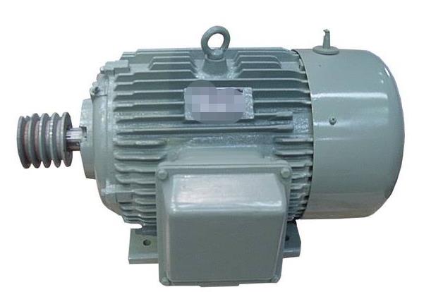 威震輪鼓電機(jī)60v800w，威震輪鼓電機(jī)的技術(shù)參數(shù)介紹